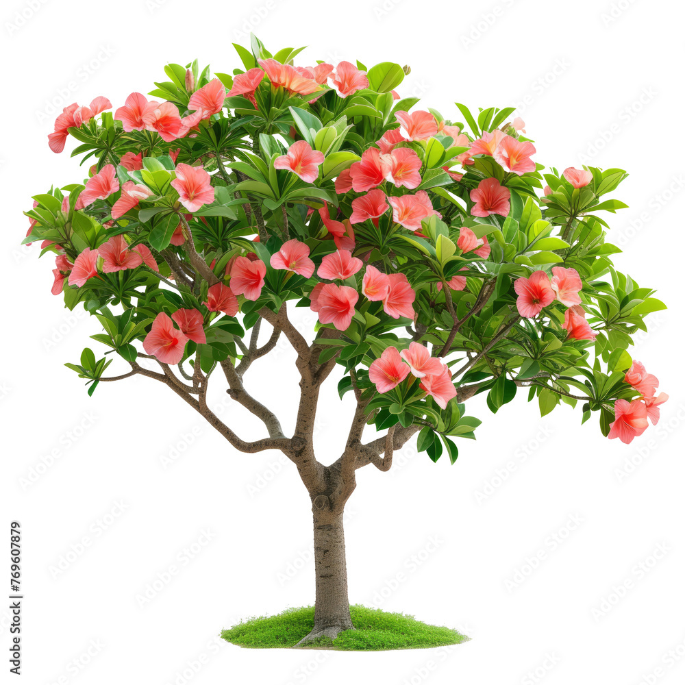 red apple tree isolated