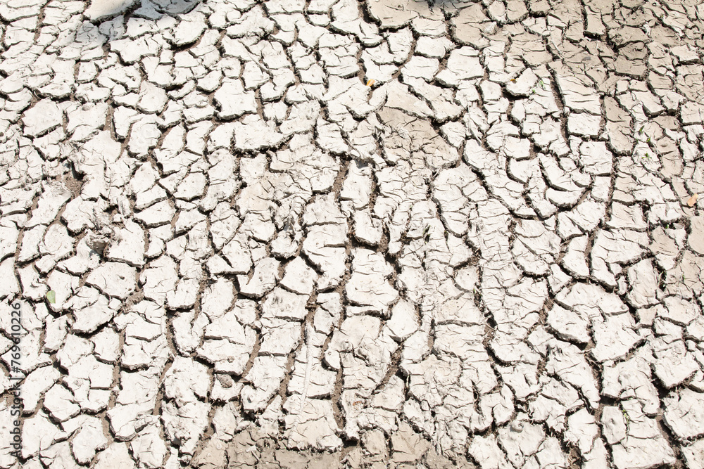 Cracked dry soil infertile terrain Cracked dry soil infertile terrain
