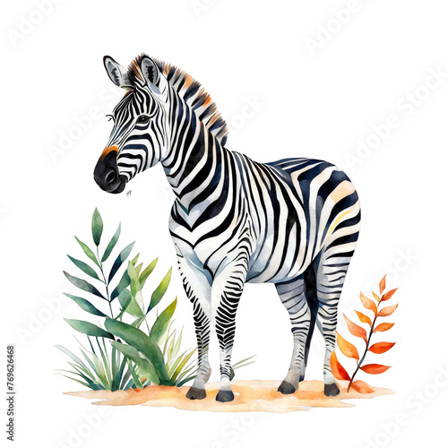 Zebra standing full body view  watercolor illustration  wild animal  clipart  forest  leaves  vector  zoo  animal park  cutout on white background  for scrapbook   arts  for kids picture story books