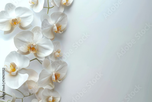 White orchids isolated on light gray background with space for text or inscriptions top view
