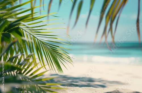 A palm tree on a beautiful beach with white sand and the ocean in the background. Tropical summer vacation in paradise concept.