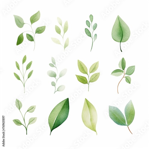 Green leaves and new shoots, clipart, watercolor illustration clipart, isolated on white background , watercolor, cute, character, uniq