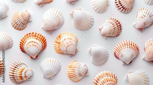 A pattern of seashells arranged in a geometric grid formation. AI generate illustration © PandaStockArt