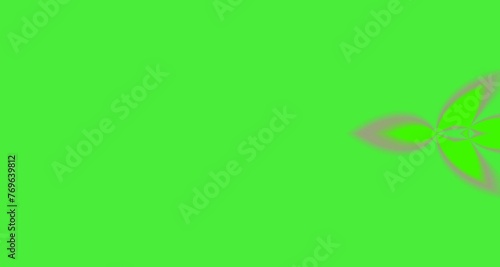 green animation abstract hand white screen light green screen paper red blue isolated texture chroma key sign