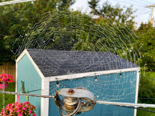 Close-up of a spider web wet with rain, on a clothesline