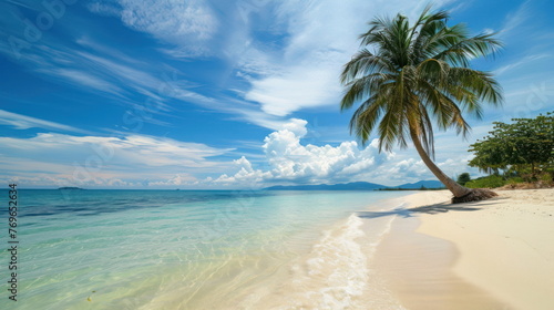 beach and palm on sea with nice sky background © waranyu