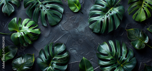 Textures of abstract black leaves for tropical leaf background. 3d