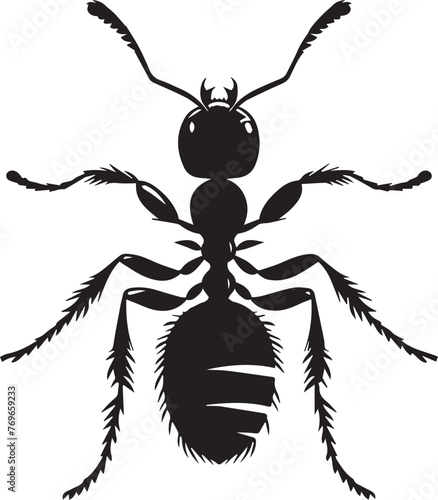 Ant Silhouettes EPS Ants Vector Ant Clipart