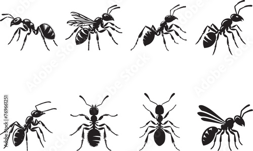 Ant Silhouettes EPS Ants Vector Ant Clipart