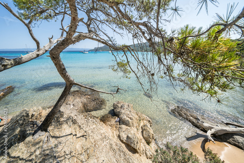 Beautiful Notre Dame beach  Plage Notre-Dame  on Porquerolles island  l   le de Porquerolles   France