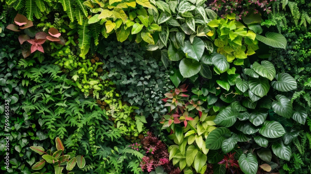 Fototapeta premium Diverse Green Wall With Various Plant Species