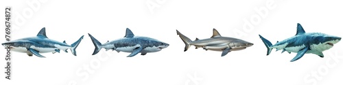 Set of sharks isolated on transparent background