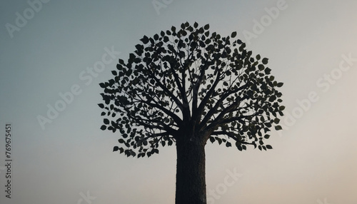 Silhouette of tree black and white