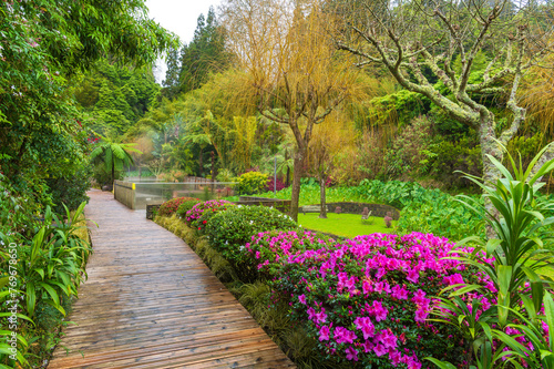 Discover the tranquil Po  as da Dona Beija hot springs nestled in Sao Miguel lush landscapes  offering a serene wellness escape amid Azores volcanic nature.
