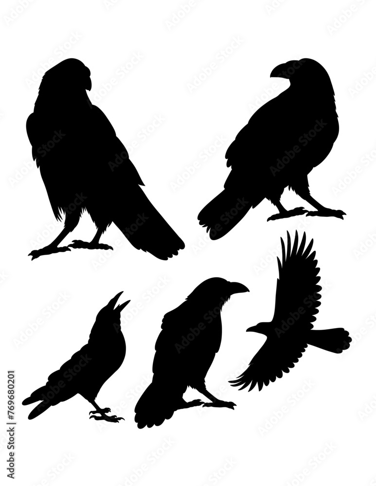 Crow bird poultry animal pose silhouette Crow bird poultry animal pose silhouette