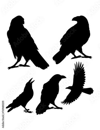 Crow bird poultry animal pose silhouette