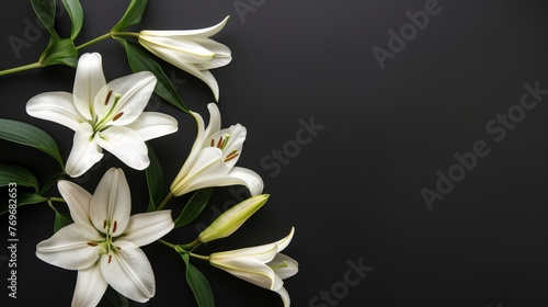 Funeral lily on dark backdrop with space for text placement, suitable for somber occasions