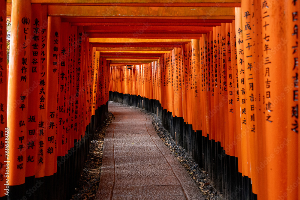 Fototapeta premium Torii Gates Fushimi Inari Area