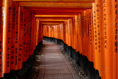 Torii Gates Fushimi Inari Area