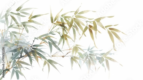 Watercolor painting of Bamboo © Left