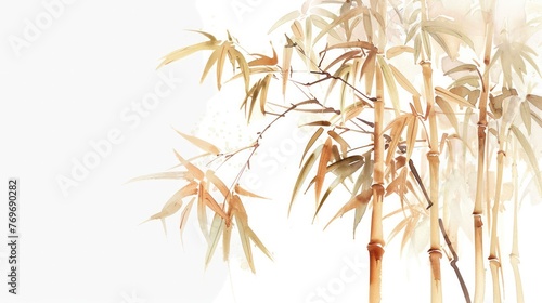 Watercolor painting of Bamboo