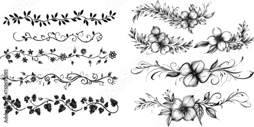 Hand drawn vines decoration, floral ornamental divider and sketch leaves ornaments