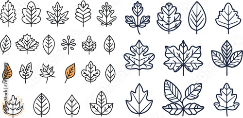 Young leaves of plants, forest tree oak, elm and ash leafs and eco greens fertilizer or autumn fall, garden vector outline pictogram isolated symbol set