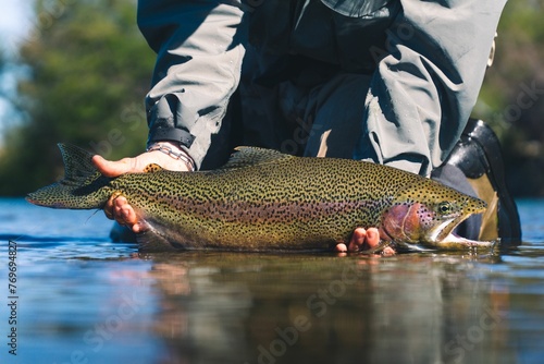 Fototapeta Naklejka Na Ścianę i Meble -  Fisherman holding a rainbow trout on the water's surface. Patagonia, South America.