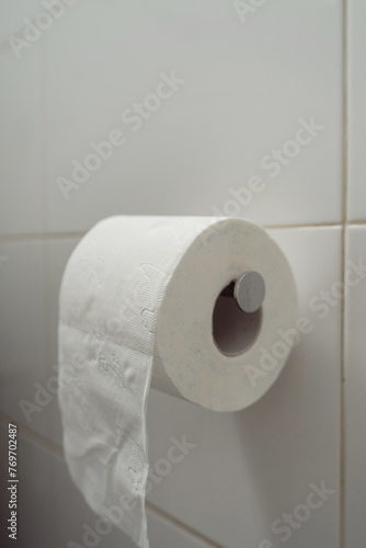 Closeup of Toilet Paper Roll on Holder