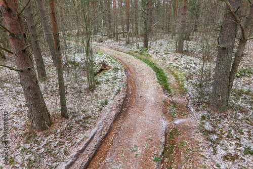 Winding sandy road in a pine forest. Late fall. Withered grass is sprinkled with fresh white snow. Scenery.