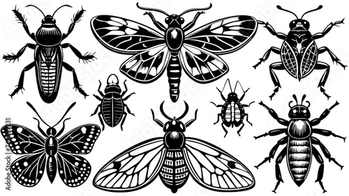 "Assorted Insect Compilation: Individual and Isolated for Easy Identification."