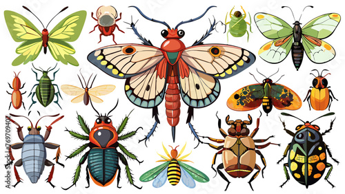 "Assorted Insect Compilation: Individual and Isolated for Easy Identification."