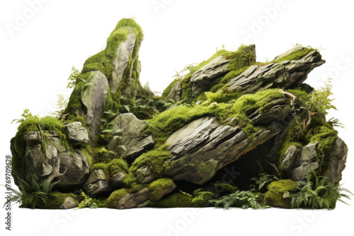 Dense Moss Cover on Large Rocks Isolated on Transparent Background png format
