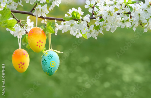 decorative Easter colorful eggs hanging on spring blossom cherry branch, green natural background. Easter holiday, festive spring season concept. copy space