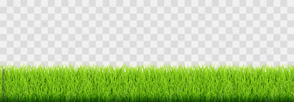 Green vector grass isolated on png background. Spring green grass, lawn. Summer nature decoration - obrazy, fototapety, plakaty 