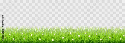 Green vector grass isolated on png background. Spring green grass, lawn. Summer nature decoration photo