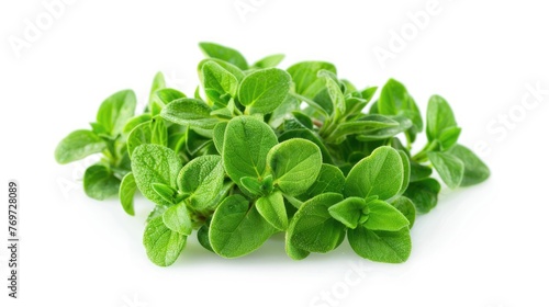 Marjoram Leaf Isolated on White Background. Perfect for Diet and Organic Salad