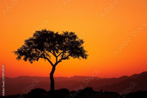 A single tree stands as a stark silhouette against a vibrant orange sky in the desert during sunset