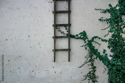 Obraz na plátně Aged wooden ladder leaning against a blank white wall in an open environment