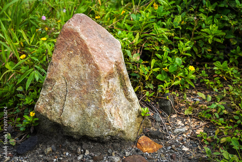 A large brown colored stone laid on dirt in a garden next to wedelia plants. Rocks are often used as ornaments to decorate homes and gardens. Concept for landscaping and decorating.