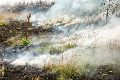 Burning dry grass in the field after the fire. Natural disaster. Forest fire.