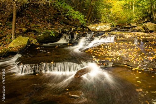 Fototapeta Naklejka Na Ścianę i Meble -  Stream cascading through a forest at Ricketts Glen State Park in Pennsylvania, USA