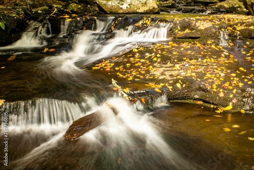 Stream cascading through a forest at Ricketts Glen State Park in Pennsylvania, USA photo