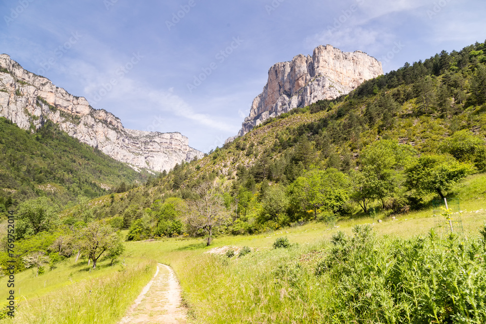 Charmant sentier de randonnée cheminant dans une vallée au pied de parois calcaires verticales. Entrée du Cirque d'Archiane, Vercors