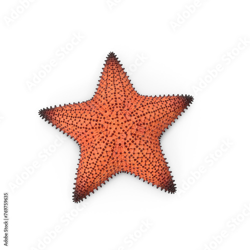 Starfish Dark