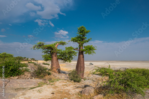 Baobad tree island (Kubu Island) in the Makadikadi salt pan, Botswana photo