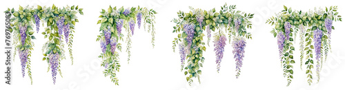 Flower wall climbing plants, with wisteria vine trailing ivy and leave, watercolor illustration set of 4 vine plants, floral decoration clipart for wedding invitation thankyou, greetings cards, purple