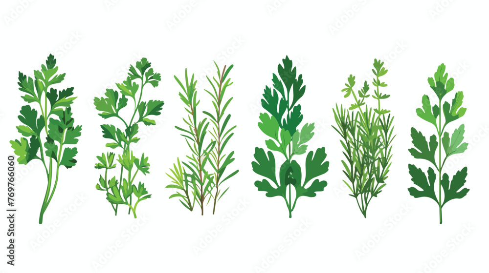 Aromatic Herbs with Parsley and Rosemary for Flavor - obrazy, fototapety, plakaty 