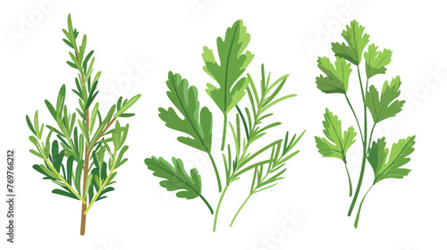 Aromatic Herbs with Parsley and Rosemary for Flavor