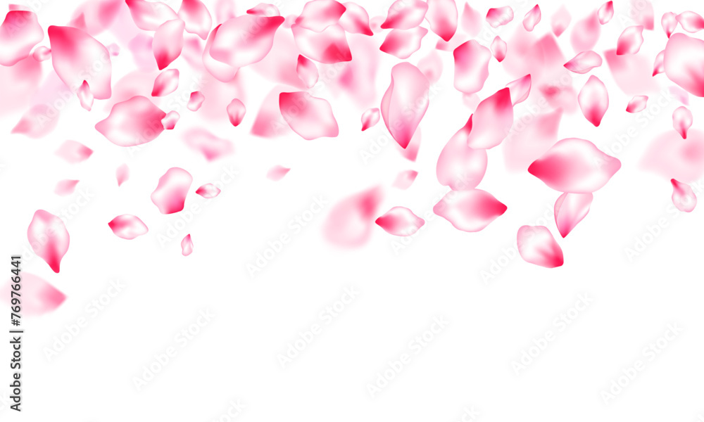 Pink sakura petals confetti flying and falling Pink sakura petals confetti flying and falling